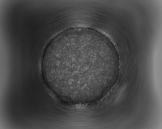 X0000087510345200705251624