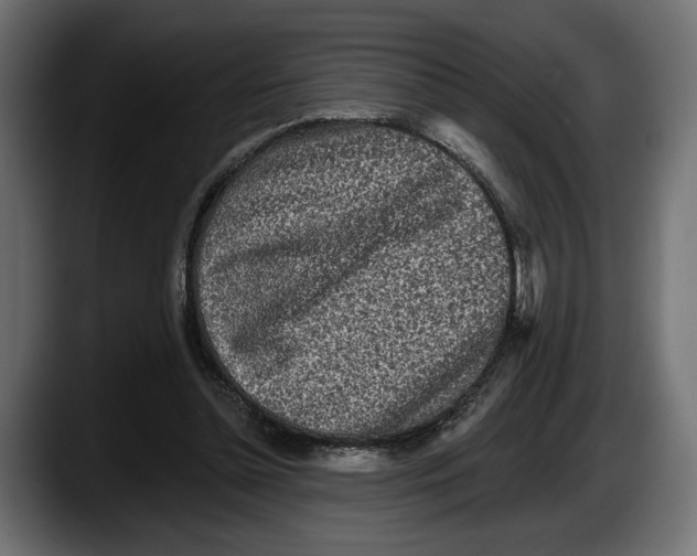 X0000087510348200705251624