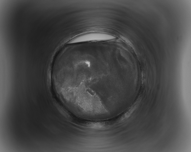 X0000087510349200705251624