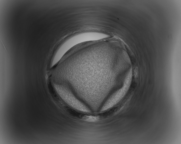 X0000087510352200705251624