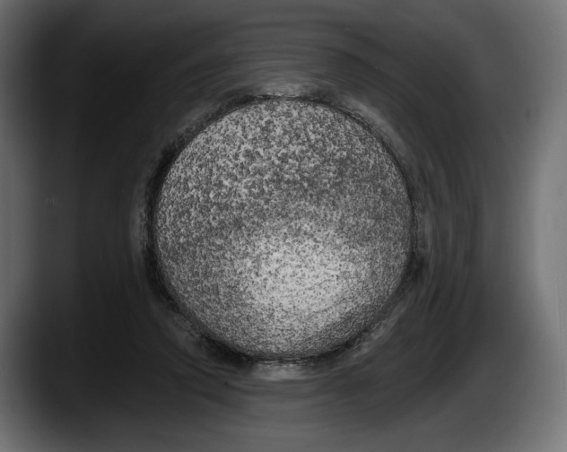 X0000087510354200705251624