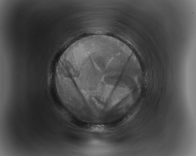 X0000087510355200705251624