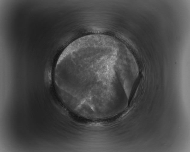 X0000087510358200705251624