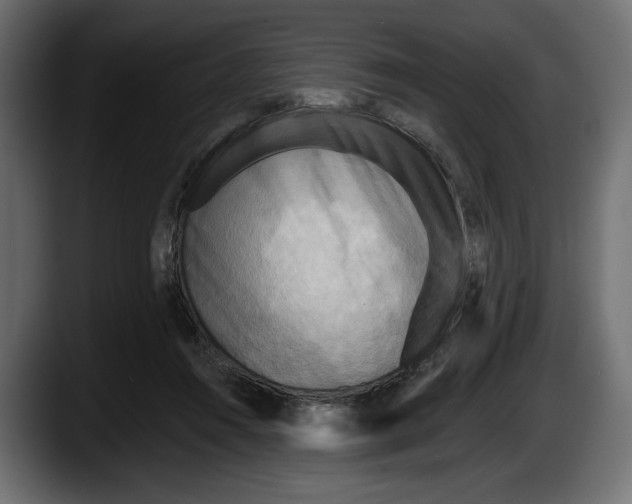 X0000087510360200705251624