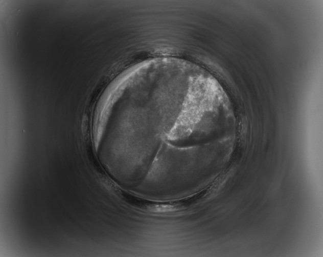 X0000087510361200705251624