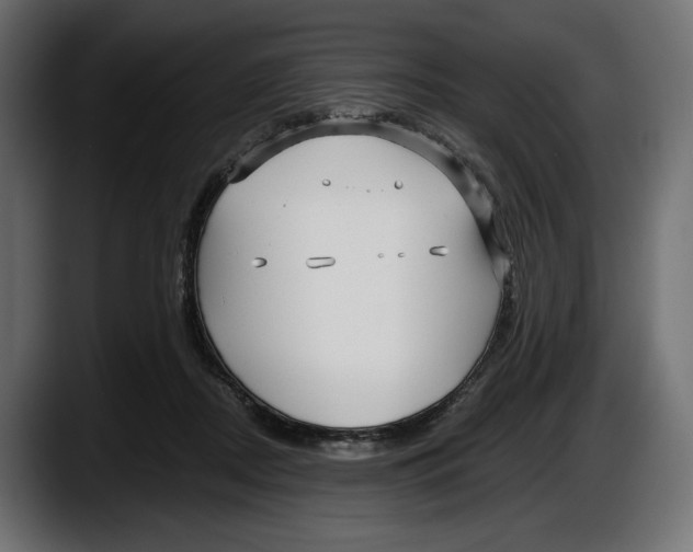 X0000087510362200705251624