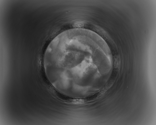 X0000087510363200705251624