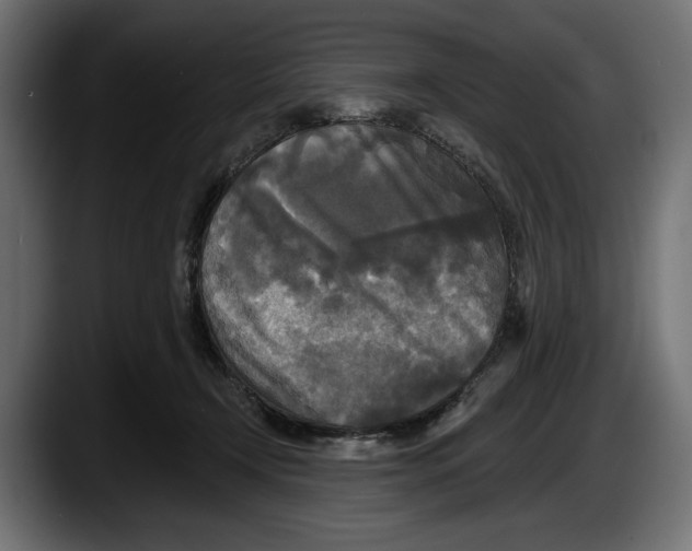 X0000087510366200705251624