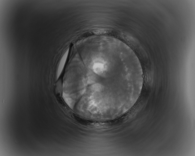 X0000087510367200705251624