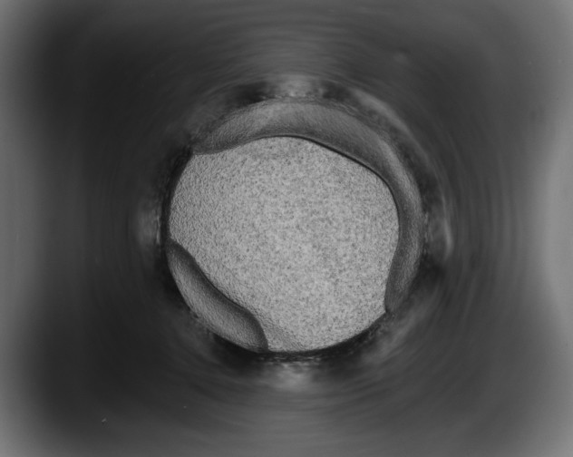 X0000087510368200705251624