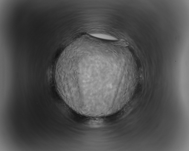 X0000087510369200705251624