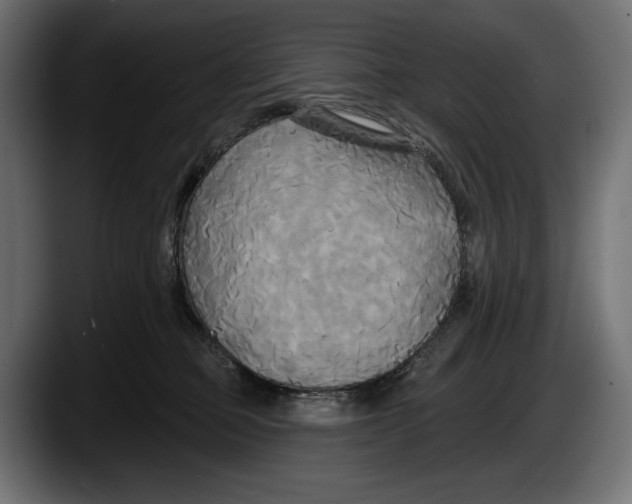 X0000087510373200705251624