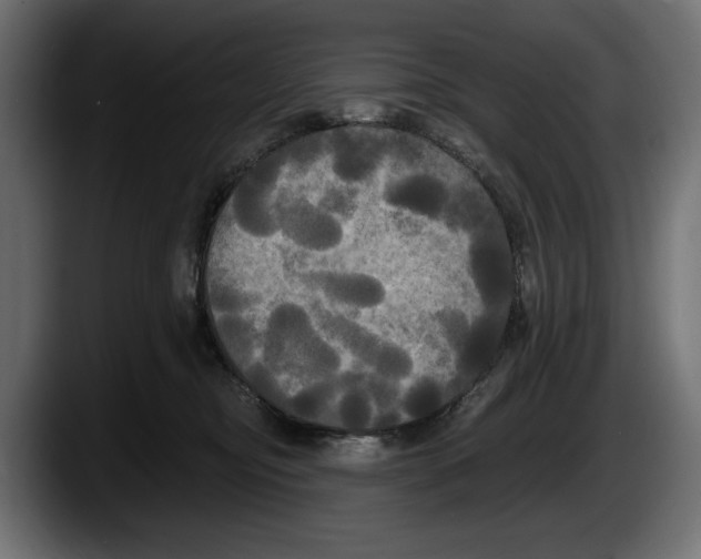 X0000087510374200705251624