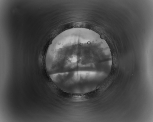 X0000087510375200705251624