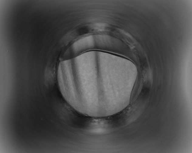 X0000087510376200705251624