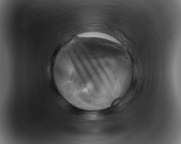 X0000087510377200705251624