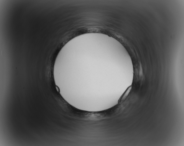 X0000087510379200705251624