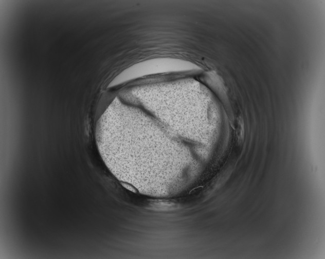 X0000087510380200705251624