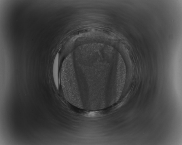 X0000087510382200705251624