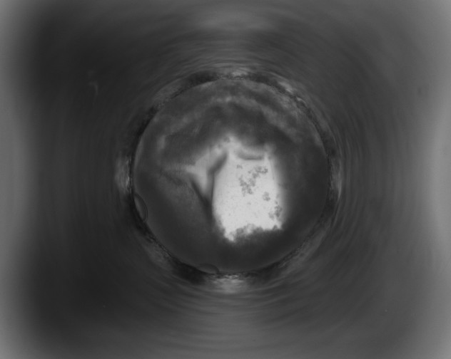 X0000087510383200705251624