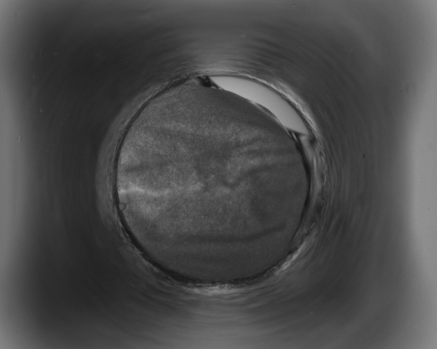 X0000087510385200705251623