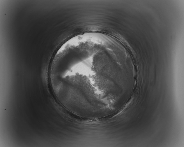 X0000087510386200705251623