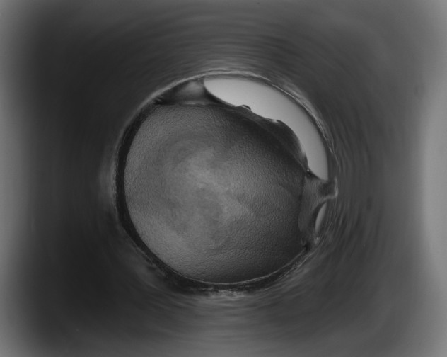 X0000087510387200705251623