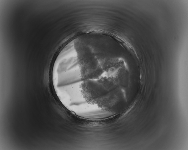 X0000087510390200705251623