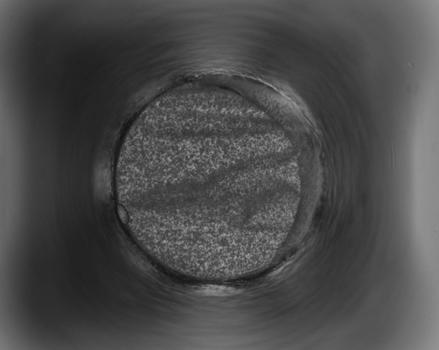 X0000087510393200705251623