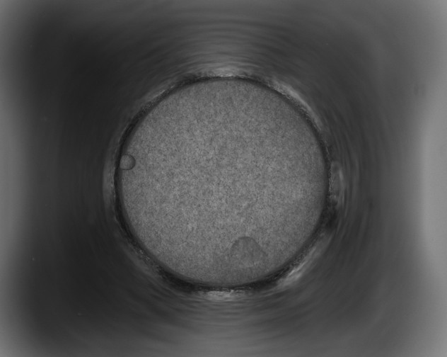 X0000087510394200705251623