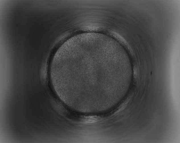 X0000087510396200705251623