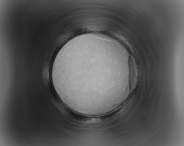 X0000087510398200705251623