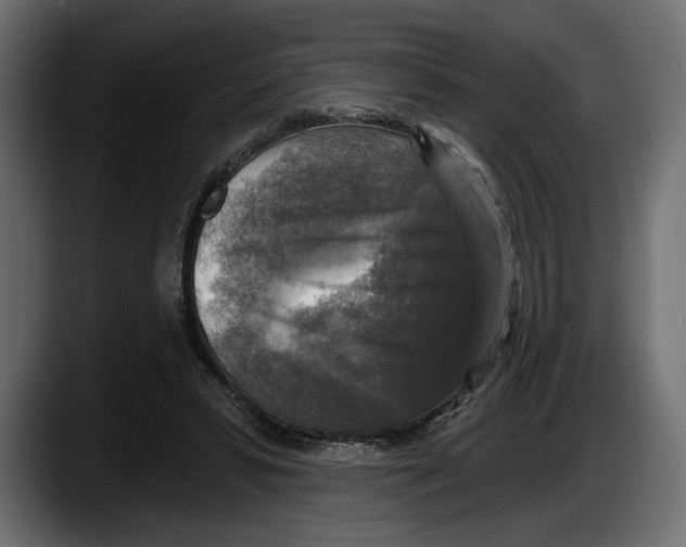 X0000087510399200705251623