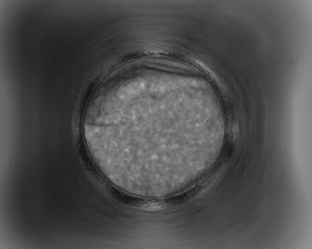 X0000087510402200705251623