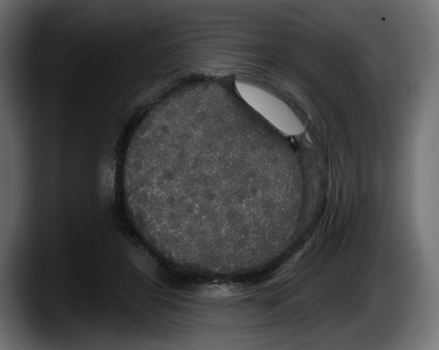 X0000087510404200705251623