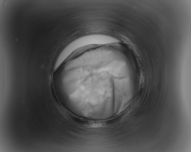 X0000087510405200705251623