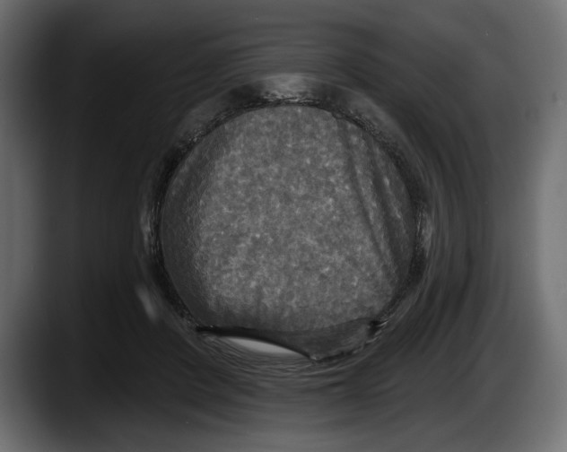 X0000087510408200705251623