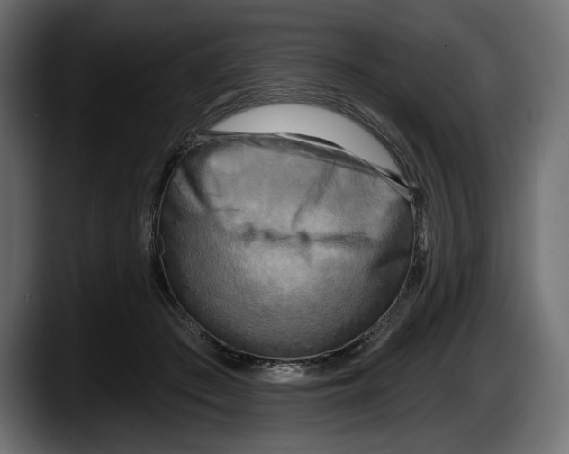 X0000087510409200705251623