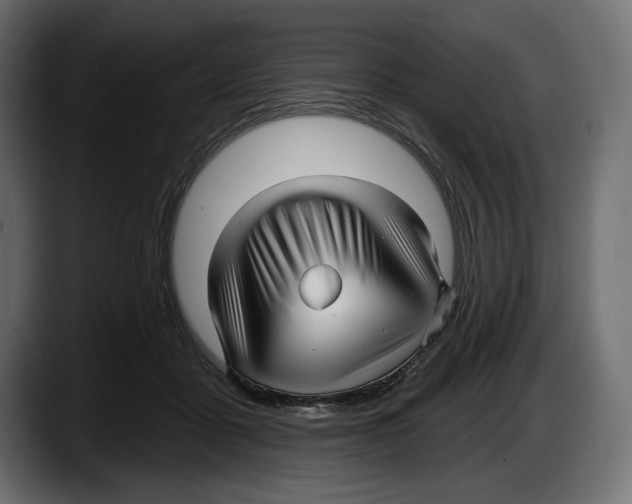 X0000087510411200705251623