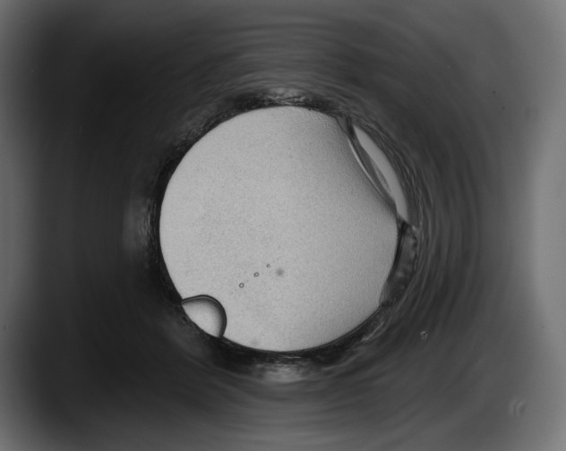 X0000087510412200705251623