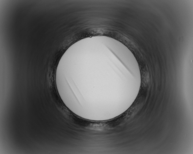 X0000087510414200705251623