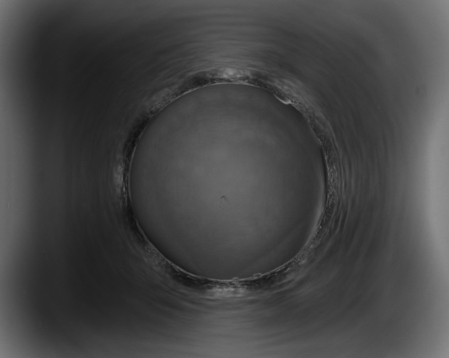 X0000087510415200705251623