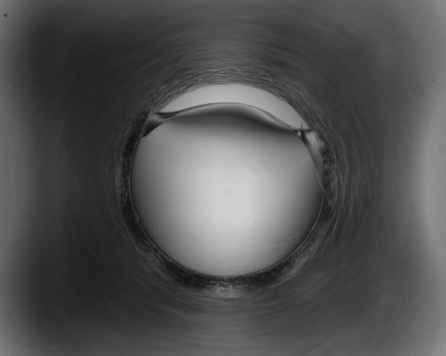 X0000087510416200705251623