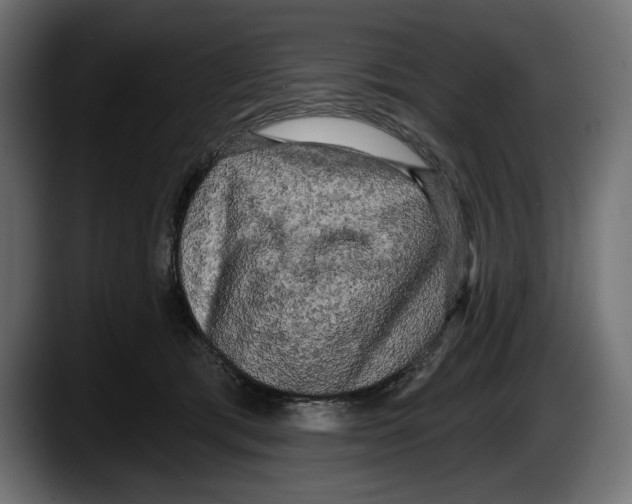 X0000087510417200705251623