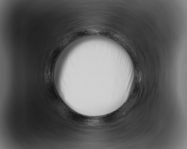 X0000087510418200705251623