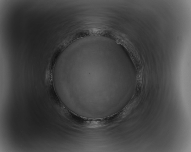 X0000087510419200705251623