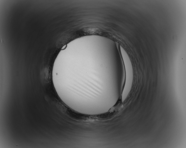 X0000087510420200705251623