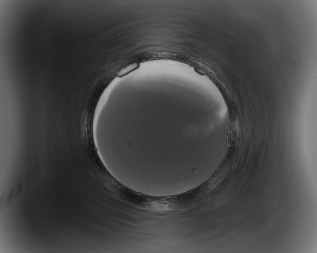 X0000087510423200705251623