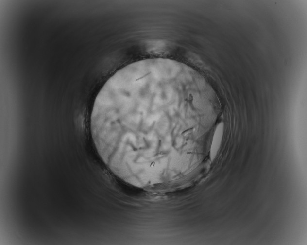 X0000087510424200705251623