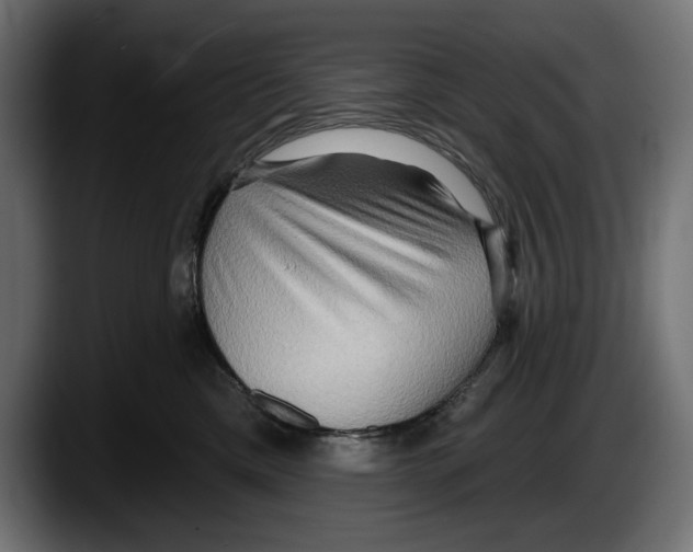 X0000087510425200705251623